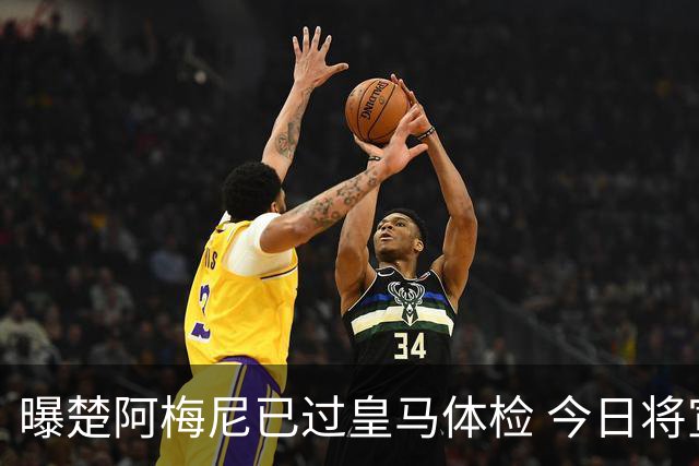 曝楚阿梅尼已过皇马体检 今日将宣他加盟及魔笛续约